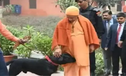 ఈ శుకనం పెద్ద సెలబ్రెటీ.. ఎందుకో తెలుసా?