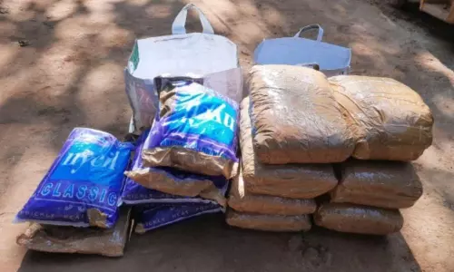 45 కేజీల గంజాయి పట్టివేత