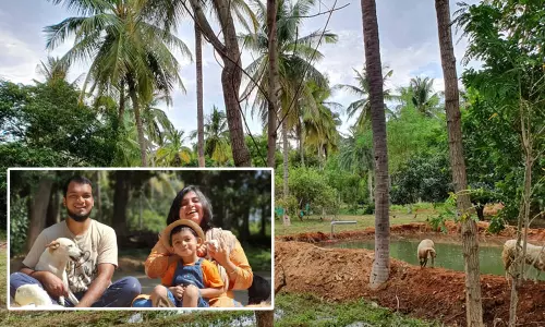 కర్ణాటక యువ దంపతులు..చేస్తున్నారు వ్యవసాయంలో మేజిక్! కర్ణాటక యువ దంపతులు..చేస్తున్నారు వ్యవసాయంలో మేజిక్!