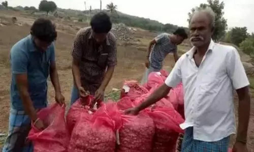 వందల కిలోల ఉల్లిని ఎత్తుకెళ్లిన దొంగలు