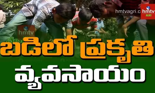 చదువులతల్లి ఒడిలో చిట్టి చేతుల ప్రకృతి సేద్యం చదువులతల్లి ఒడిలో చిట్టి చేతుల ప్రకృతి సేద్యం