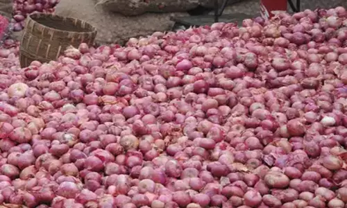 ఉల్లి కోసం జనం ఇక్కట్లు ఉల్లి కోసం జనం ఇక్కట్లు