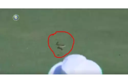 క్రికెట్ గ్రౌండ్ లో పాము.. పరుగులు తీసిన ఫీల్డర్లు! క్రికెట్ గ్రౌండ్ లో పాము.. పరుగులు తీసిన ఫీల్డర్లు!