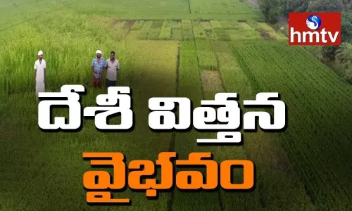 ఉద్యమంగా దేశీ వరి విత్తనాల సాగు ఉద్యమంగా దేశీ వరి విత్తనాల సాగు
