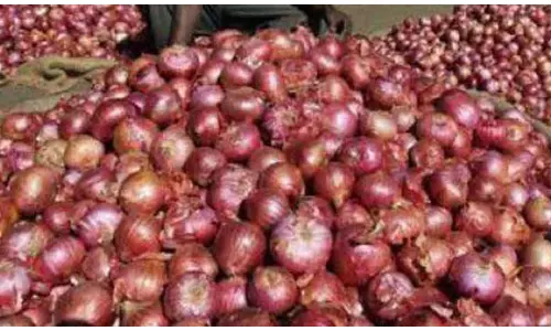 శుభవార్త..శాంతిస్తున్న ఉల్లి ధరలు! శుభవార్త..శాంతిస్తున్న ఉల్లి ధరలు!