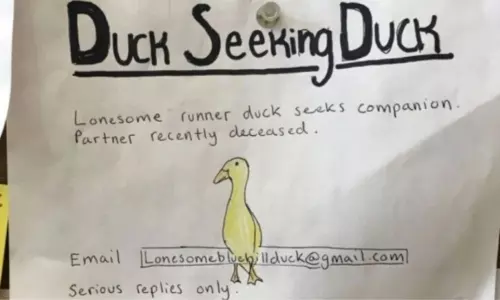 ఆడ బాతుకు స్వయంవరం ఆడ బాతుకు స్వయంవరం