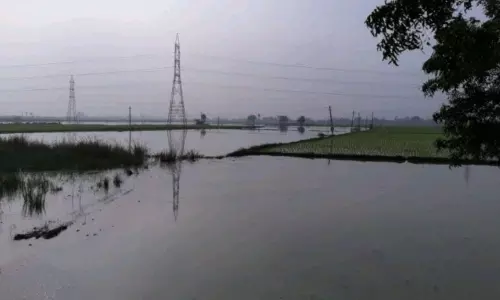 నీట మునిగిన పొలాలు