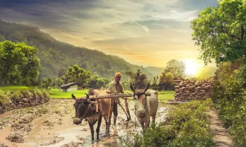 National Farmers Day 2019 : రైతును రక్షించే ఉద్యమం రావాలి! National Farmers Day 2019 : రైతును రక్షించే ఉద్యమం రావాలి!