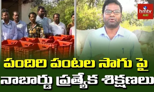 రైతులకు ప్రకృతి విధానంలో పందిరి పంటల సాగు పై ప్రత్యేక శిక్షణలు రైతులకు ప్రకృతి విధానంలో పందిరి పంటల సాగు పై ప్రత్యేక శిక్షణలు