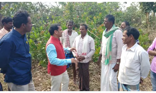 అమరావతిలో సాగు బహు బాగు - పల్సస్ సీఈవో డాక్టర్ గేదెల శ్రీనుబాబు అమరావతిలో సాగు బహు బాగు - పల్సస్ సీఈవో డాక్టర్ గేదెల శ్రీనుబాబు