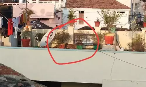 ఇంటి డాబాపైన చిరుత.. భయాందోళనలో స్ధానికులు