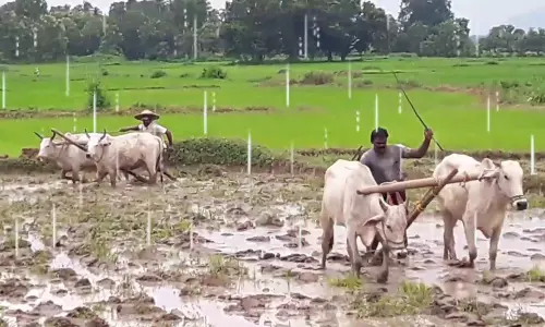 Rythu Bandhu scheme: రైతులకు శుభవార్త ... రూ. 5,100 కోట్లు విడుదల