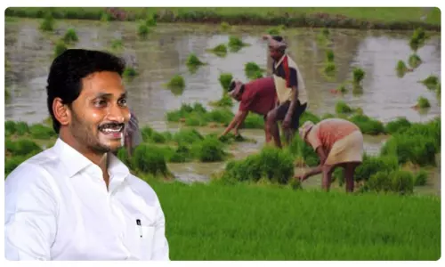 Andhra Pradesh: సహకార సంఘాల్లో రైతు భరోసా కేంద్రాలు