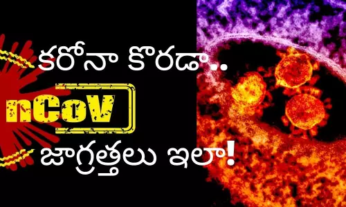 కంగారు పెడుతున్న కరోనా వైరస్.. ఎందుకు..ఎలా వస్తుంది? లక్షణాలివే!