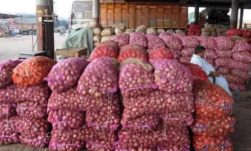 శుభవార్త : రూ. 22కే కిలో విదేశీ ఉల్లి శుభవార్త : రూ. 22కే కిలో విదేశీ ఉల్లి