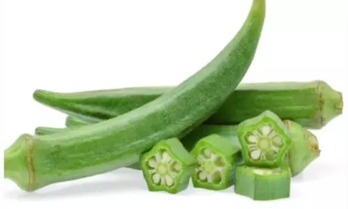 Health Tips: షుగర్ పేషంట్స్ తప్పక తీసుకునే కూరగాయ ఇది.. Health Tips: షుగర్ పేషంట్స్ తప్పక తీసుకునే కూరగాయ ఇది..