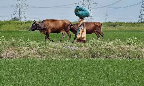 వ్యవసాయం మరియు రైతుల సంక్షేమానికి 16 అంశాలు