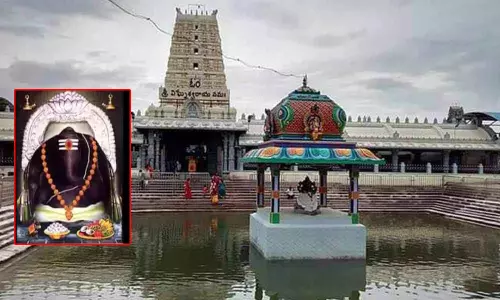 కాణిపాక వరసిద్ది వినాయక విశిష్టతలు