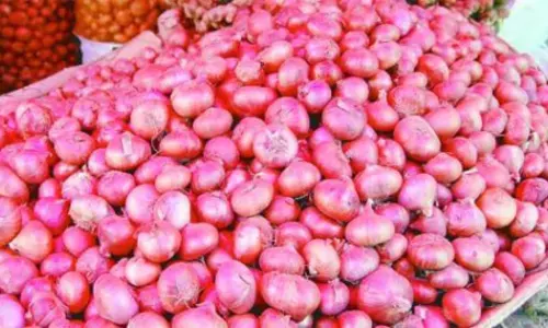 Kadapa: కేపీ ఉల్లి ఎగుమతికి కేంద్ర ప్రభుత్వం గ్రీన్ సిగ్నల్