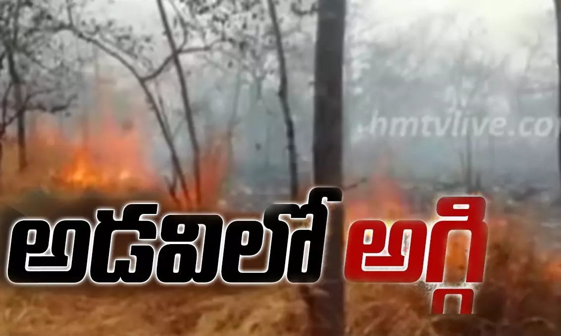 Nallamala Forest Fires : అటవీప్రాంతంలో అగ్గి
