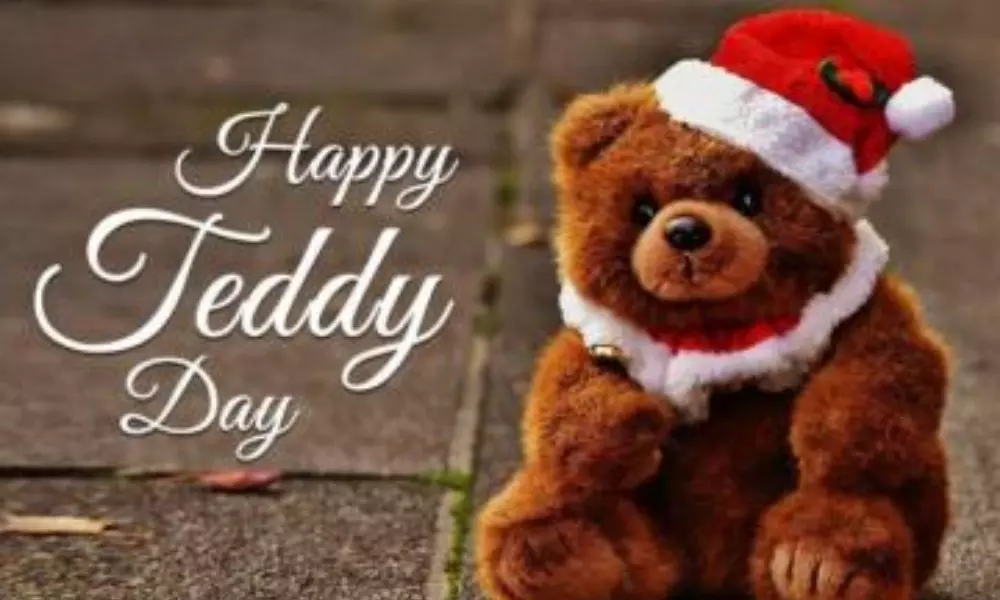 Valentine Week 2020 Teddy Day: టెడ్డీ ఎందుకు గిఫ్ట్‌గా ఇస్తారో తెలుసా?