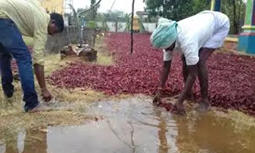 అకాల వర్షం - అపార నష్టం అకాల వర్షం - అపార నష్టం