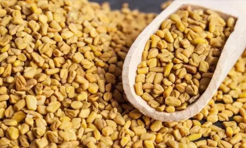 జుట్టు సమస్యా... మెంతీ ప్యాక్ పర్ఫెక్ట్‌ అట