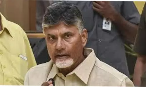 దిశ చట్టంలో లోపాలున్నాయి : చంద్రబాబు