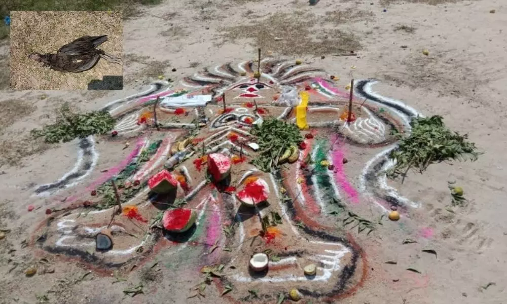 Black Magic: చేతబడి కలకలం.. క్రికెట్‌ మైదానంలో నల్లకోడిని బలిచ్చి..