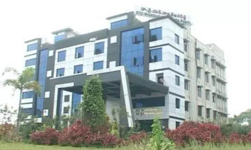 నెల్లూరు కార్పొరేషన్ ఎన్నికలపై హైకోర్టు స్టే - ఎన్నికల ప్రక్రియ చేపట్టవద్దంటూ ఆదేశాలు