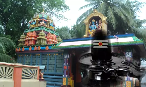 ఇక్కడ కొబ్బరి మొక్క నాటితే కొడుకు ఖాయం ఇక్కడ కొబ్బరి మొక్క నాటితే కొడుకు ఖాయం