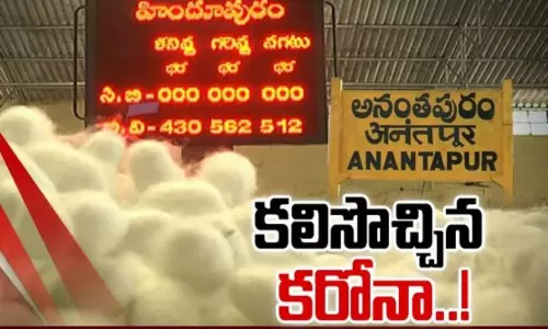 ప్రపంచాన్ని గజగజలాడిస్తున్న కోవిడ్ వైరస్.. అనంతలో లాభాలబాటలో మల్బరీసాగు ప్రపంచాన్ని గజగజలాడిస్తున్న కోవిడ్ వైరస్.. అనంతలో లాభాలబాటలో మల్బరీసాగు