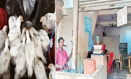 ఏపీలో అక్కడ మాత్రం చికెన్ చాలా చీప్!