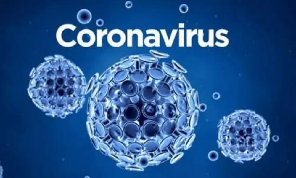 Nellore: కరోనా వైరస్ పై అవగాహన... పవర్ యూత్ స్వచ్ఛంద సేవా సంస్థ Nellore: కరోనా వైరస్ పై అవగాహన... పవర్ యూత్ స్వచ్ఛంద సేవా సంస్థ