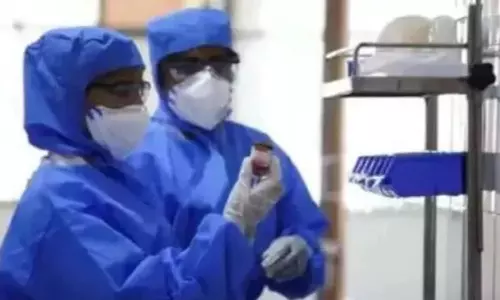 ప్రభుత్వ కార్యాలయాలపై కేంద్రం కీలక నిర్ణయం ప్రభుత్వ కార్యాలయాలపై కేంద్రం కీలక నిర్ణయం