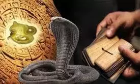 దేశానికి కాలసర్ప దోషం ఉంది : శారద పీఠాధిపతి