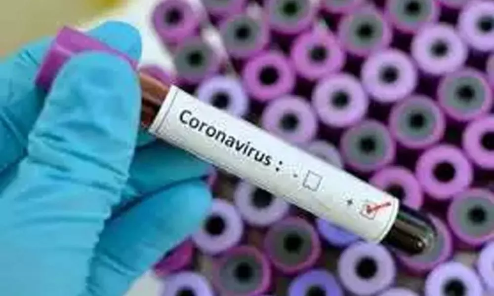 Coronavirus: రాష్ట్రంలో తొలిసారిగా ఇద్దరు వైద్యులకు కరోనా పాజిటివ్.. 44కు చేరిన కేసులు