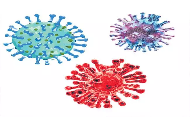 Coronavirus:   కరోనా  కట్టడికి ఏపీ ప్రభుత్వం పకడ్బందీ చర్యలు..