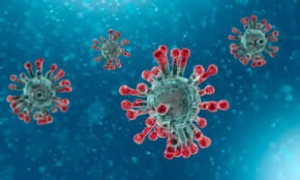 Coronavirus: ఏపీలో మరో మూడు పాజిటివ్ కేసులు