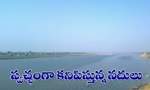 లాక్ డౌన్ ఎఫెక్ట్.. స్వచ్చంగా కనిపిస్తున్న యమునా నది!