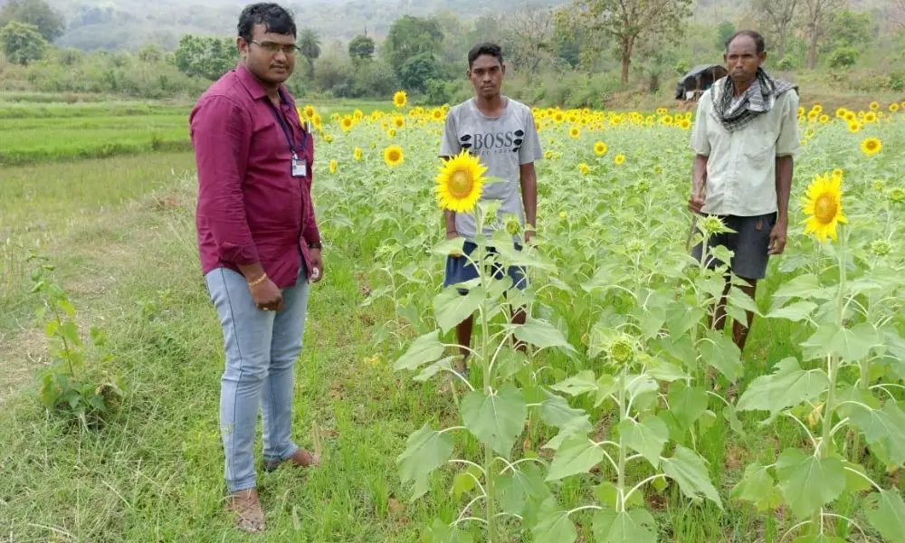 Kurupam: వ్యవసాయ పనులకు లాక్ డౌన్ నుండి మినహాయింపు