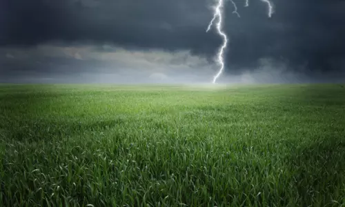 ఏపీలో అకాల వర్షాలు.. 14 మంది మృతి!