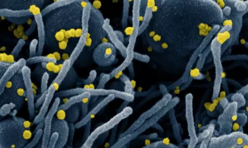 షాకింగ్ న్యూస్.. గాలిలో కదులుతుంది.. ఎగురుతుంది.. షాకింగ్ న్యూస్.. గాలిలో కదులుతుంది.. ఎగురుతుంది..