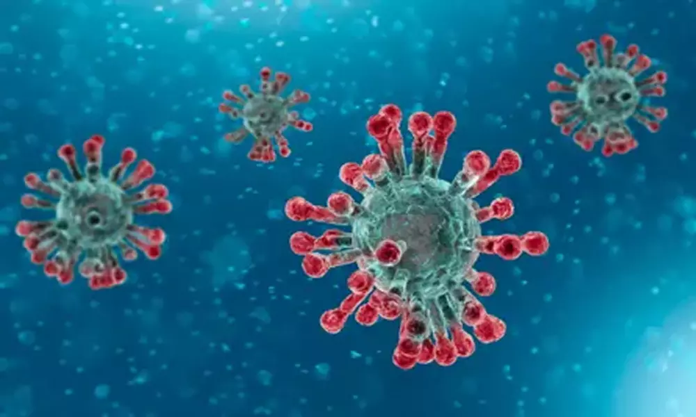 దేశవ్యాప్తంగా 14వేలకు చేరిన కరోనా కేసులు దేశవ్యాప్తంగా 14వేలకు చేరిన కరోనా కేసులు