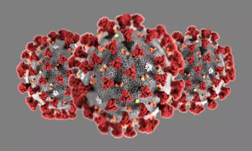 అమెరికాలో ఒక్కరోజే అన్నివేల మరణాలా..!