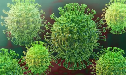 Coronavirus: షాకింగ్.. ఏపీలో 14 మంది మృతుల్లో.. 13 మంది వారే..