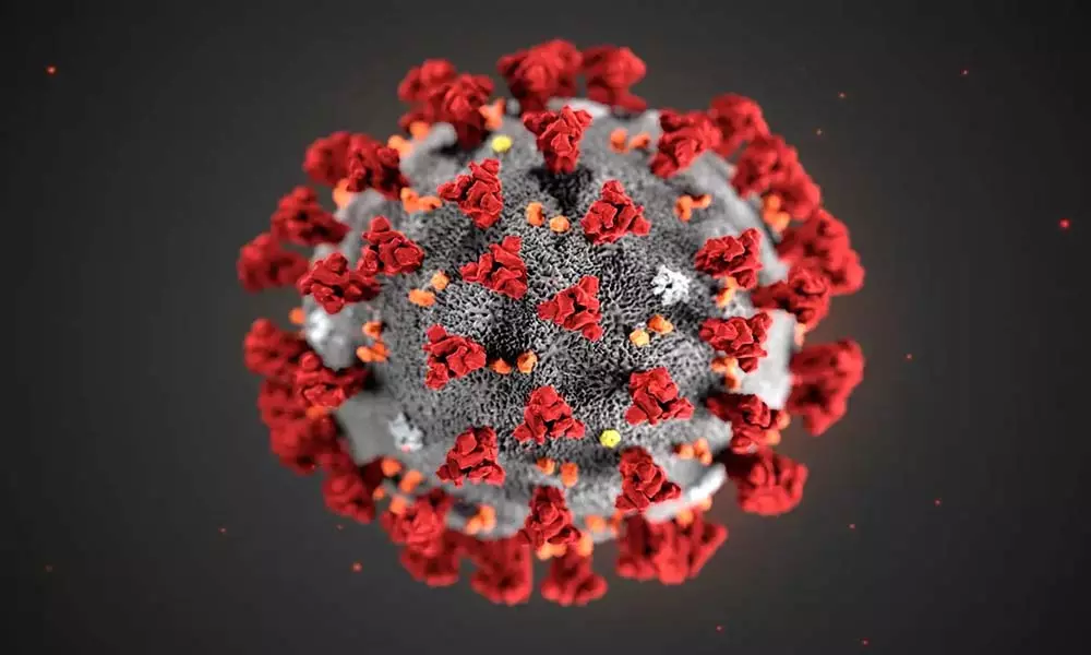 Coronavirus Updates: ప్రపంచవ్యాప్తంగా 25 లక్షలకు చేరువలో కరోనా కేసులు