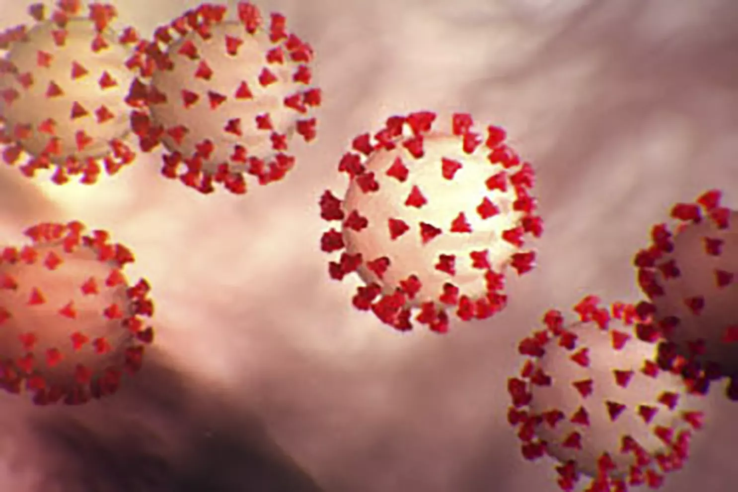 Coronavirus: అమెరికాలో మరణాల సంఖ్య  50వేలు దాటేసింది..