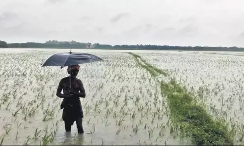 అకాల వర్షం ... నిండామునిగిన రైతన్న