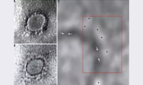 విషాదం: కరోనా తో తండ్రీ, కొడుకుల మరణం.. కుటుంబమంతా క్వారంటైన్ లోకి!